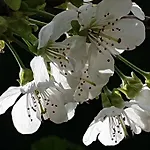 Casa de Férias Purpur Haus Fuer Dich Alleine! Solingen