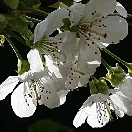 Semesterbostad Purpur Haus Fuer Dich Alleine! Solingen